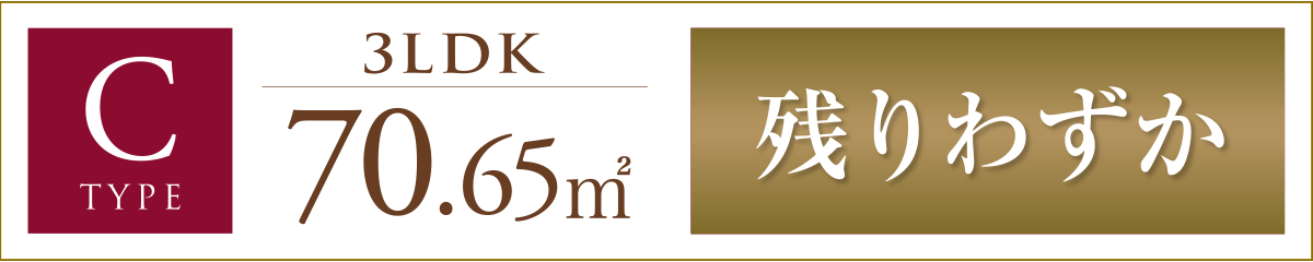 C TYPE 残りわずか