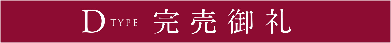 D TYPE完売御礼