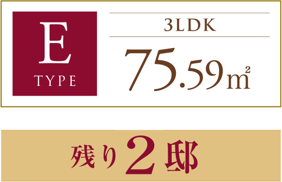 E TYPE