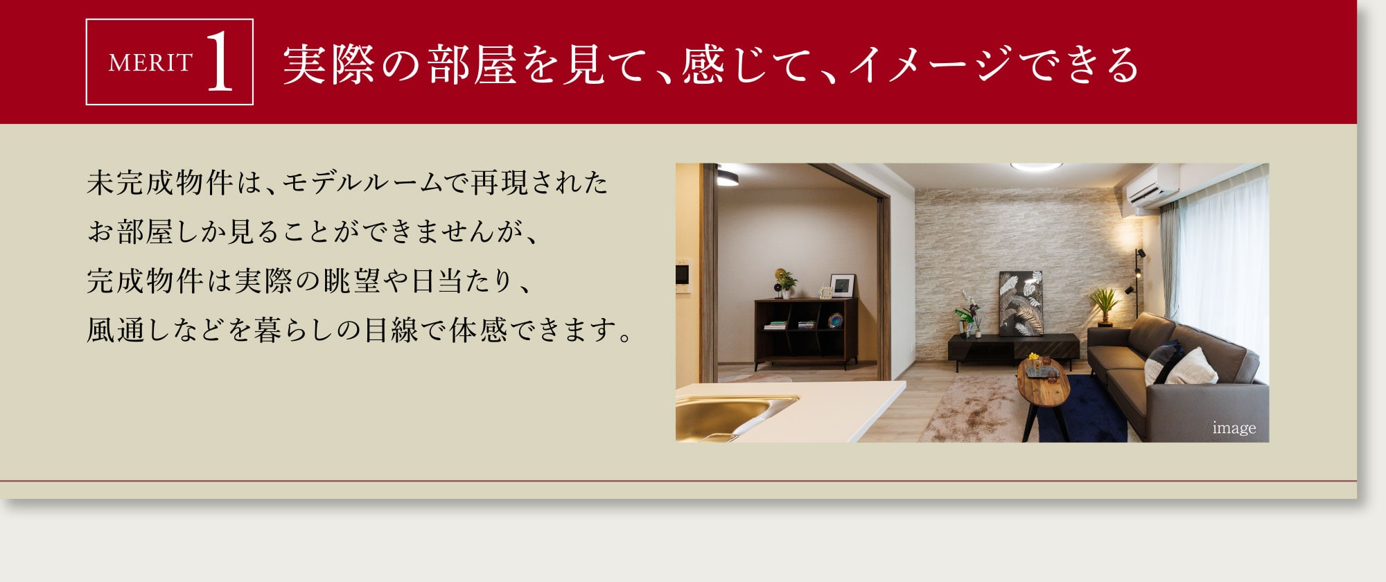 MERIT 1